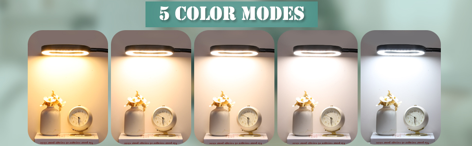 magnifying glass for reading