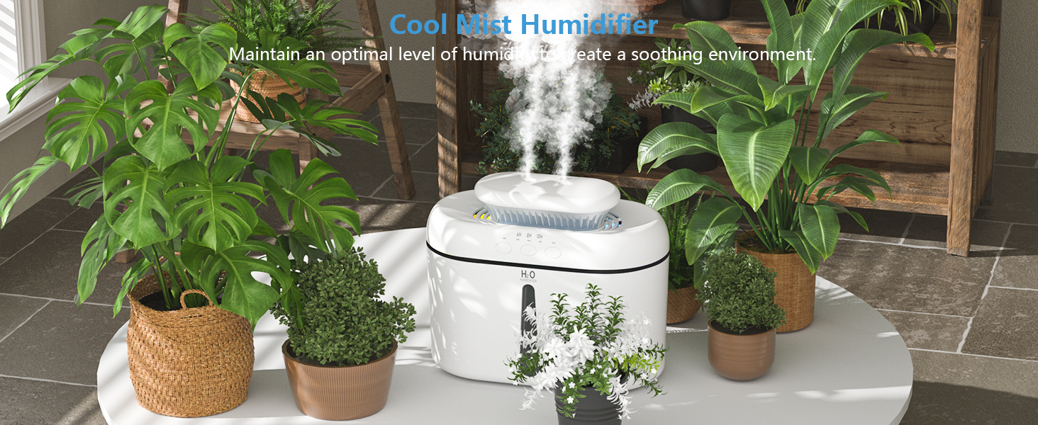plant humidifier
