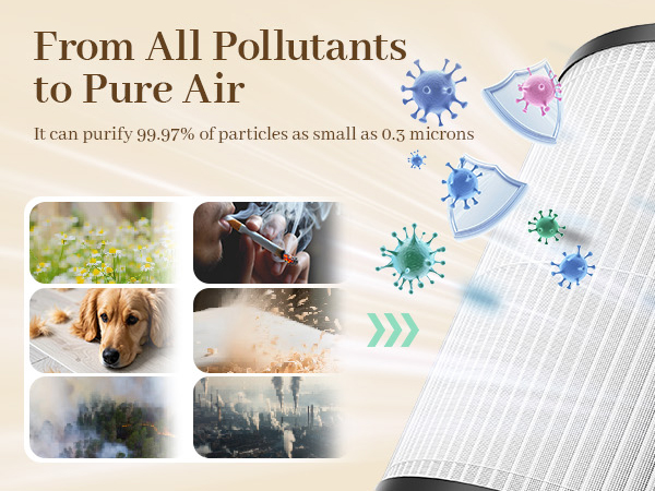 air purifier for room small