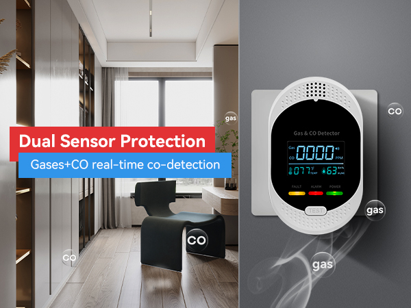 portable carbon monoxide detector