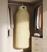 Fieldspark Portable Clothes Dryer, 2-in-1 Hanging &amp; Desktop Drying Machine with Remote, 8H Timer,...