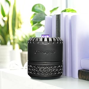 DynaTrap Indoor Fly &amp;amp; Insect Trap has a discreet design