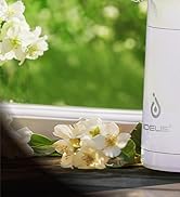 IDEUS air pot