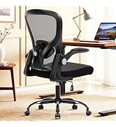 shipborne Ergonomic Office Chair, Computer Desk Chair with Adjustable Lumbar Support, Breathable ...