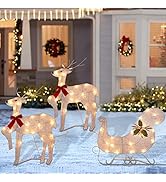 WATERGLIDE Set of 3 Lighted Christmas 2D Reindeers Outdoor Decorations, 23 Inch Pre-Lit Light Up ...