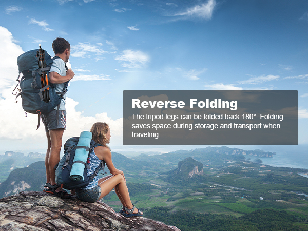 light stand with storage case