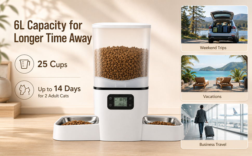 automatic cat feeder