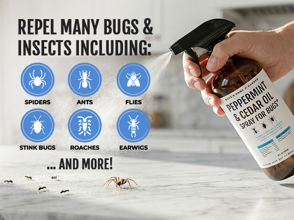 insect spray ant killer traps indoor peppermint oil repellent rodents bugs pest control home defense