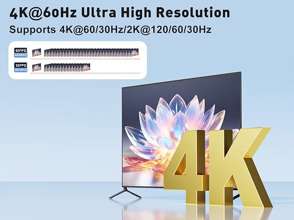 switch hdmi 4K