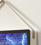 fly traps for indoors