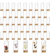 Mezchi 50 Pack Glass Cloche with Cork Base, 40 ml Mini Glass Domes for Display, 3 Inch Decoration...