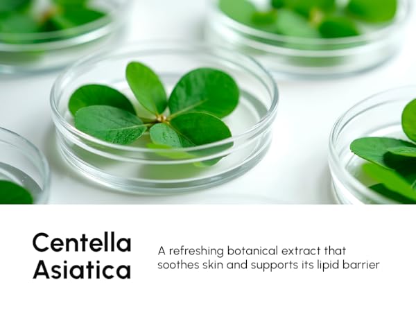 centella asiatica