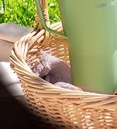 IDEUS Tumbler
