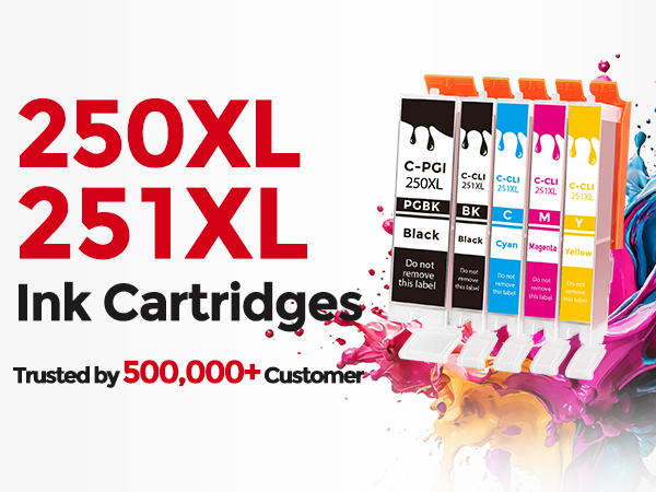 canon 251 printer ink cartridges