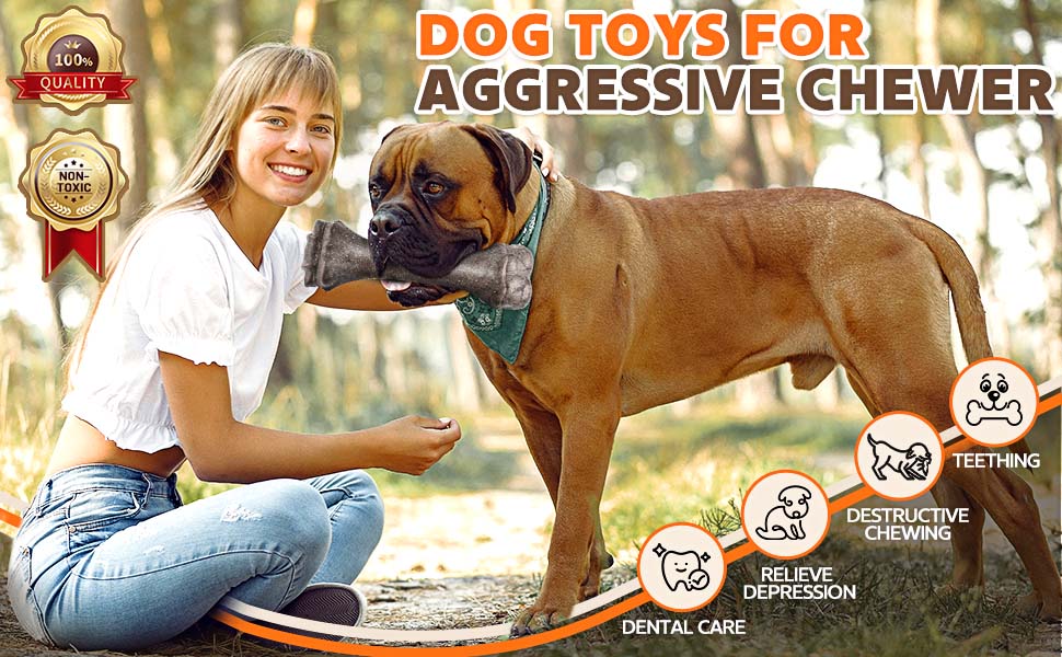 dog toys for aggressive chewers