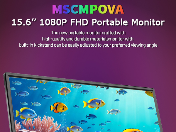 Laptop Monitor Portable