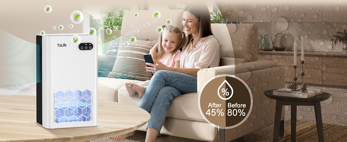 dehumidifiers for home