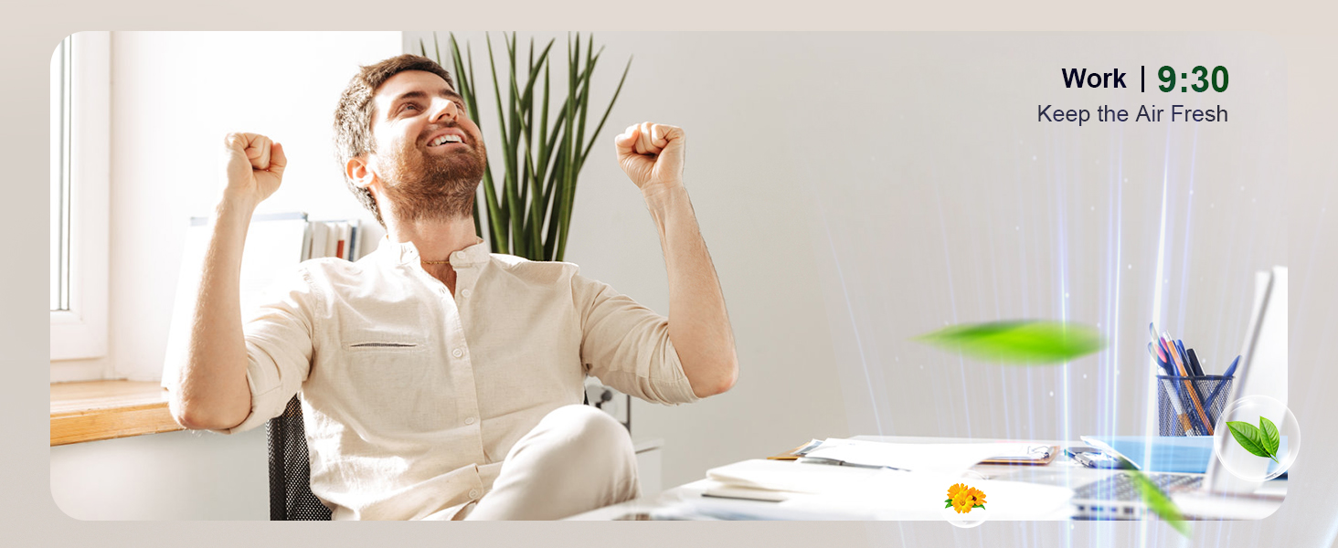 air purifiers for home large room