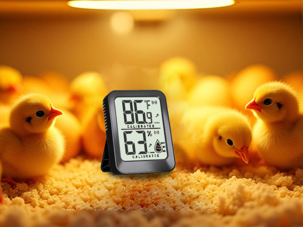 indoor thermometer for room temperature analog