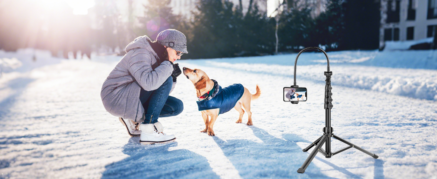 Phone tripod stand