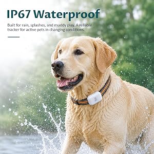 IP67 waterproof pet GPS tracker worn by a dog running through water, built for rain, splashes, mud
