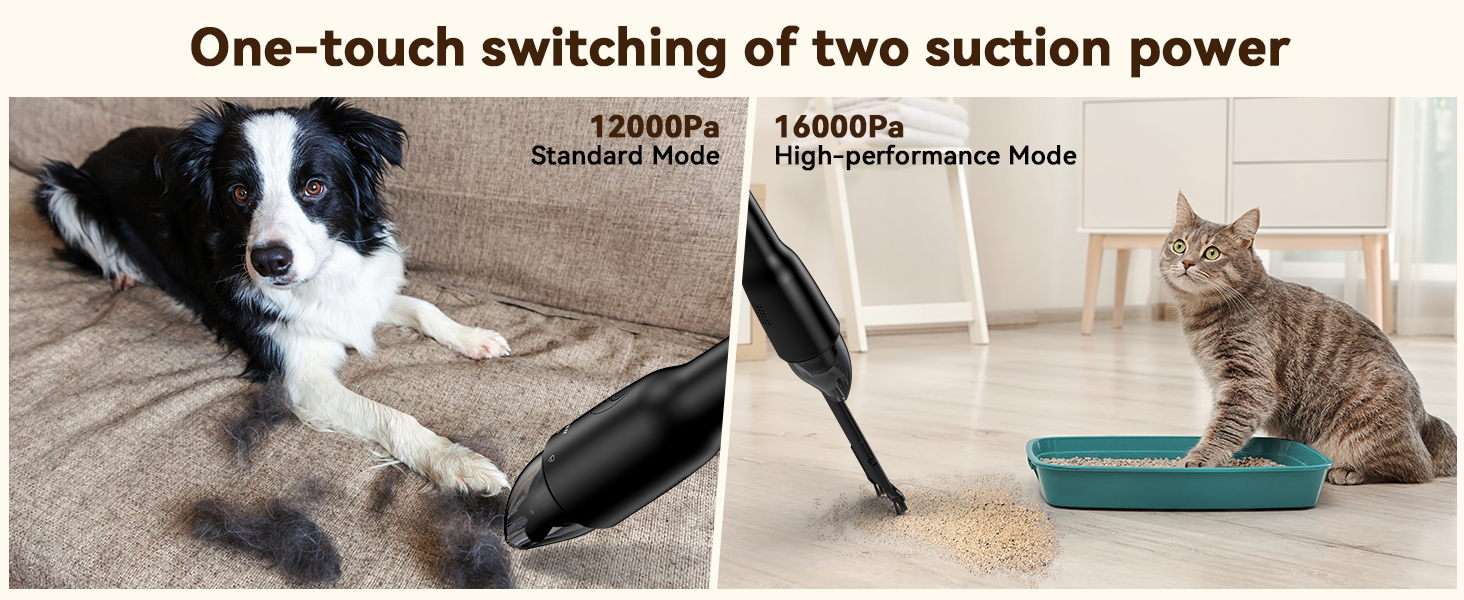 portable vacuum cordless