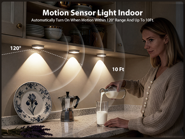 Motion Sensor