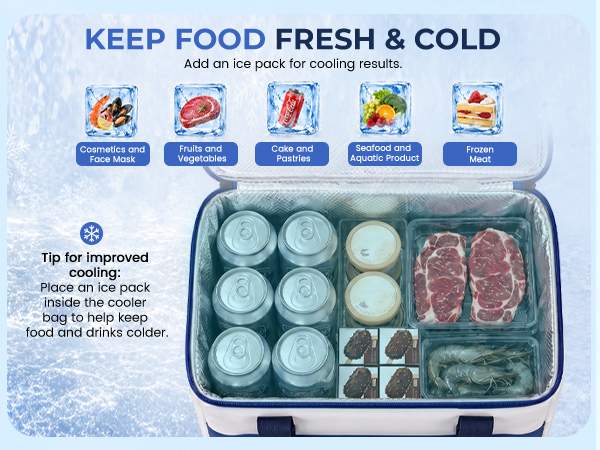 portable cooler electric