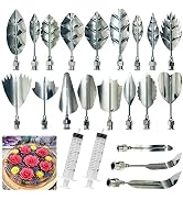 Jninexiu Stainless Steel Gelatin Jelly Art Tools, 22 PCS 3D Jelly-Art-Tools Pudding-Nozzle Cake N...