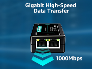gigabit high speed data transfer
