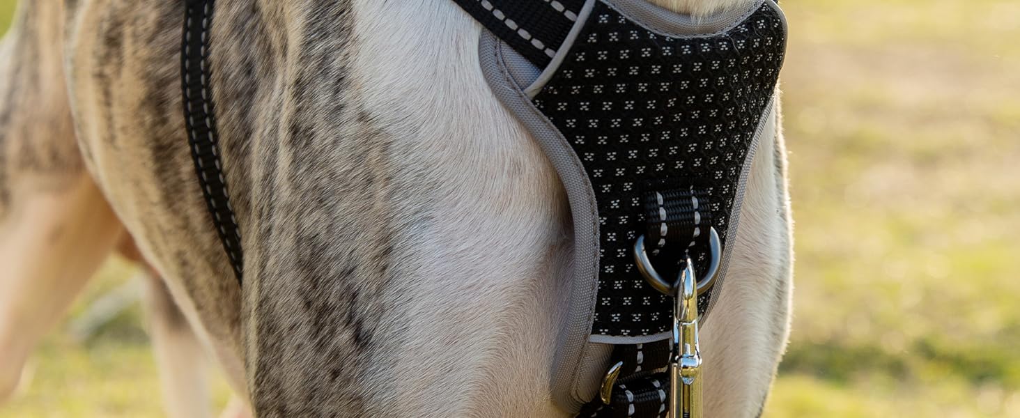 escape proof dog harness