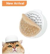 short hair cat brush cat comb cat accessories for indoor cats hair brush comb for cats