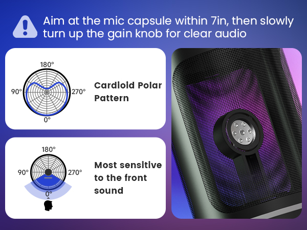 Clear Audio Capture