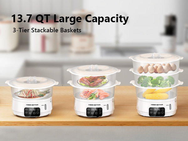 eletric food steamer