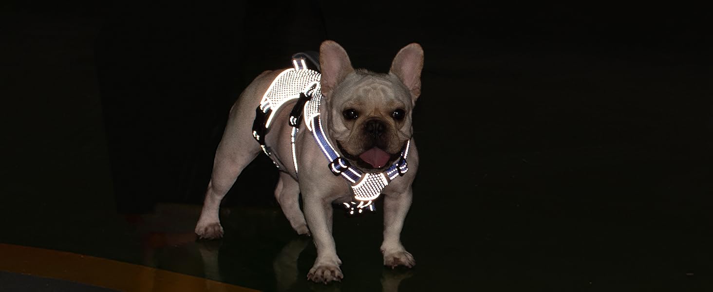 no escape dog harness