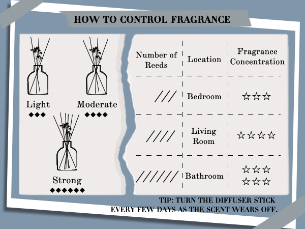 Reed Diffuser Set
