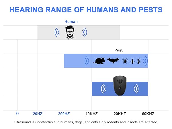 Functional upgrades in 2025
