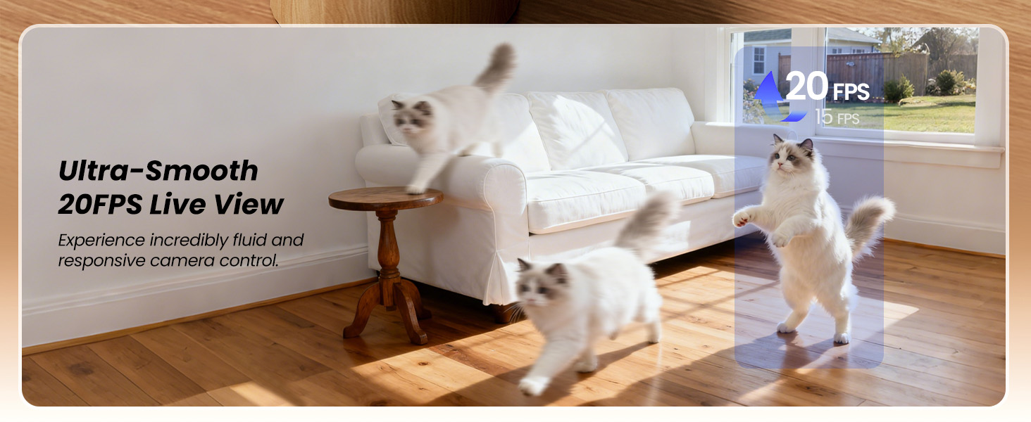 image highlighting 20FPS ultra-smooth live view feature with cat playing on a sofa in living room.