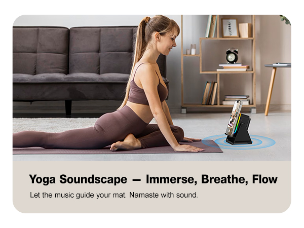 Wireless Induction Speaker