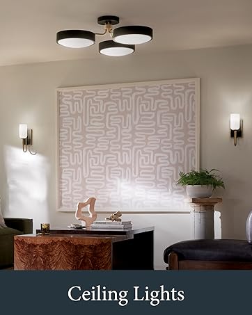 Kichler Ceiling Lights