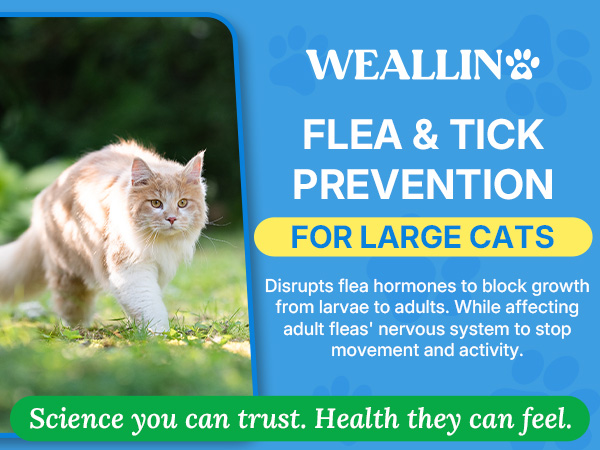 cat flea &amp; tick control