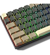 Rainy75 Shine Through Double Shot PBT Keycaps Set, Cherry Profile Custom Keycaps 60 65 75 100 Per...