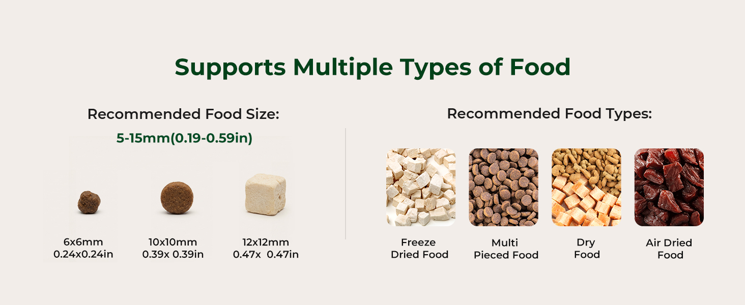 automatic cat feeder