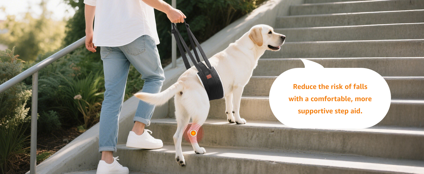 dog lift harness
