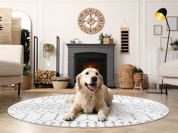 Round Rug