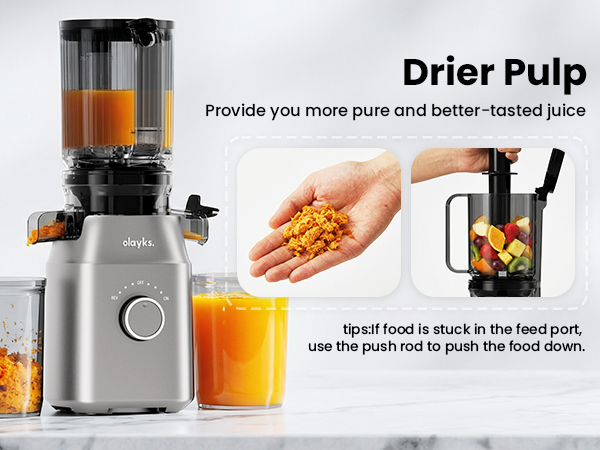 Cold Press Juicer