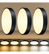 HLinghtnet LED 12 inch Round Flush Mount Ceiling Light Black Dimmable 24W 5CCT Metal Black Ceilin...