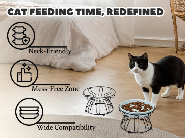 cat elevated feeding bowl