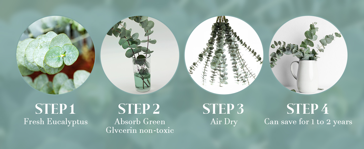 30pcs eucalyptus
