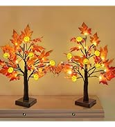 TURNMEON Fall Decor 2 Pack 18 Inch Prelit Fall Maple Tree Fall Decorations for Home with 48 LEDs ...